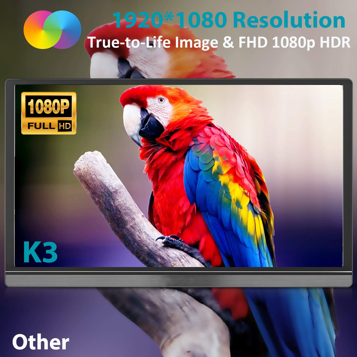 Portable Monitor 15.6inch 1080P FHD USB-C